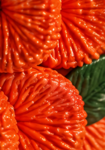 Vaas Orange – Limited Edition