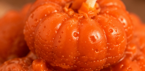 Pumpkinbasket Kaars